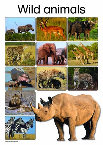 WILD ANIMALS | Macmillan South Africa